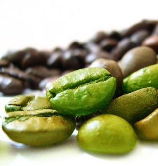 green coffee bean